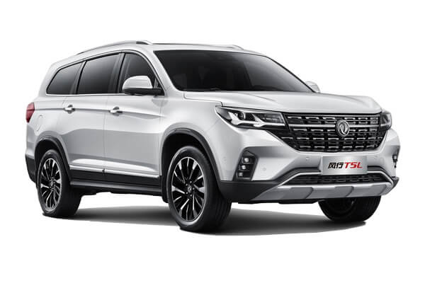  - DONGFENG FORTHING T5L (R - 011)